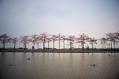 First 4 Figures推出骑马林克手办 售价近五千元